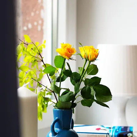 Kdn Metalowcow Apartament Świętochłowice